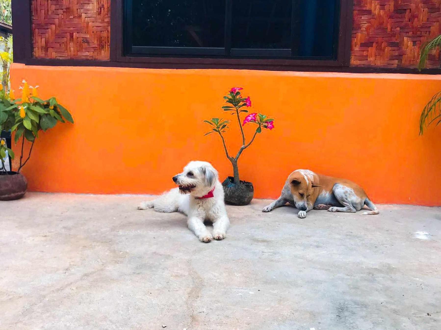 Don Leo'S Bnb Esperanza Esterno foto